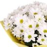 Ромашки от 3 510 руб.